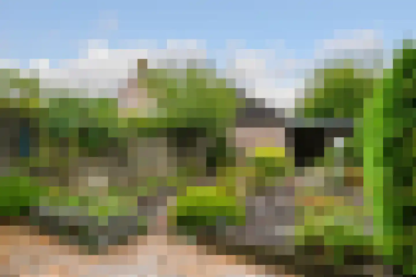 Herlaer 43 Eindhoven thumbnail 4