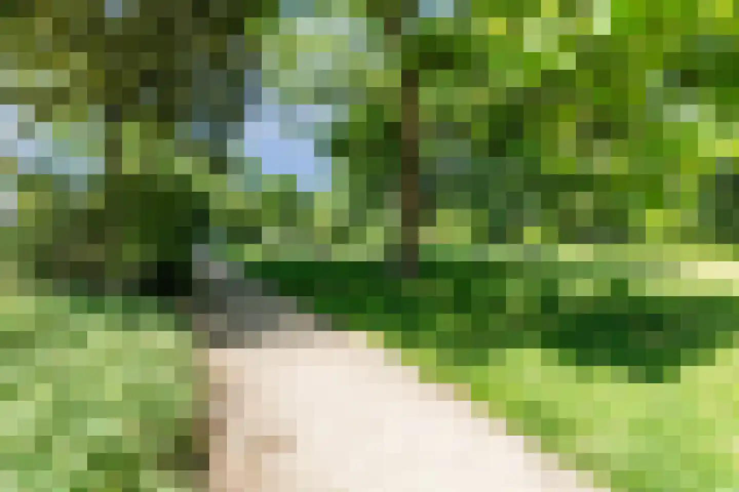 Herlaer 5 Eindhoven thumbnail 41