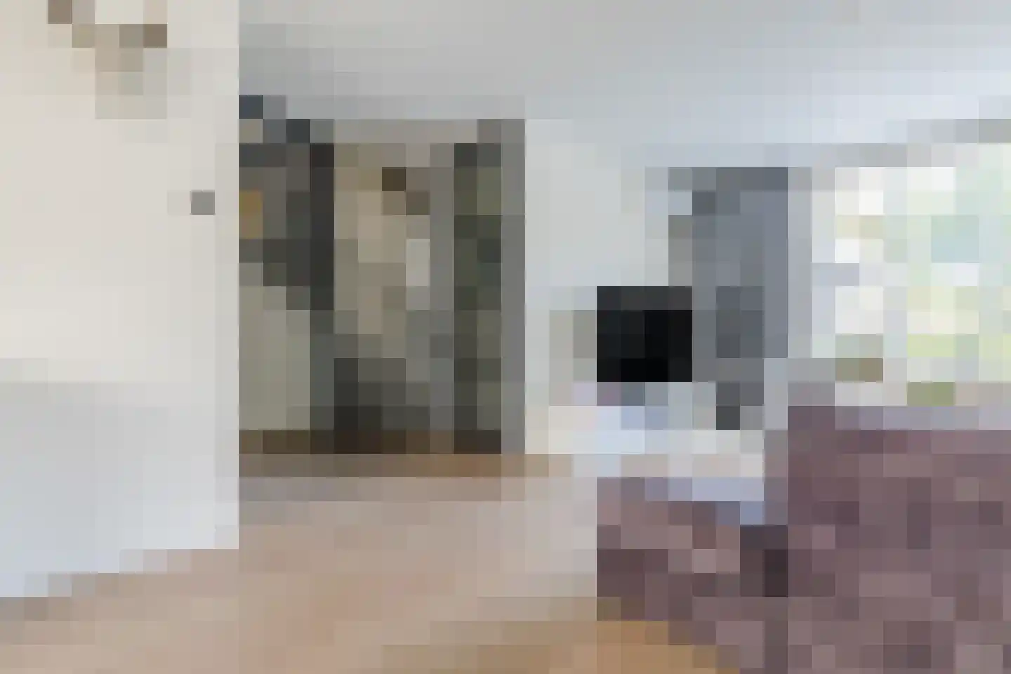 Herlaer 5 Eindhoven thumbnail 8