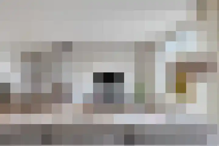 Herlaer 51 Eindhoven thumbnail 16