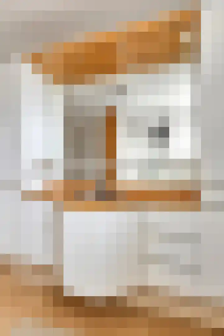 Herlaer 51 Eindhoven thumbnail 26