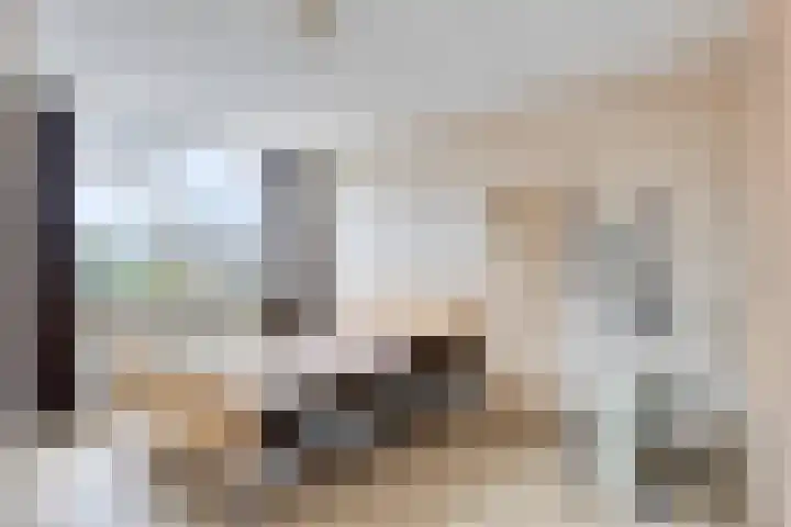 Herlaer 51 Eindhoven thumbnail 28