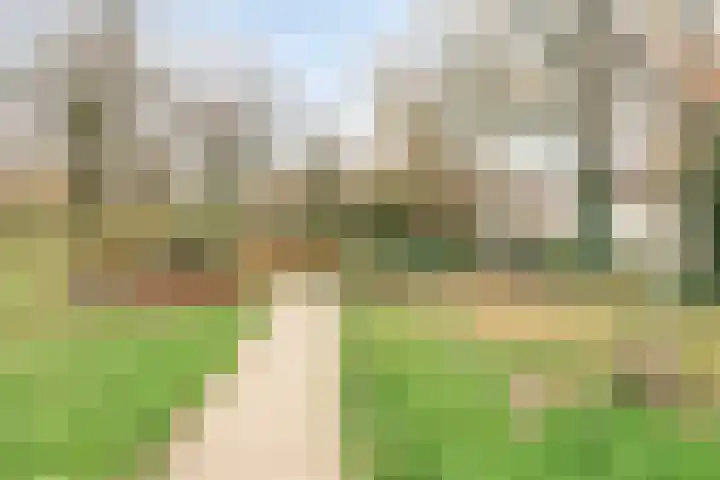 Herlaer 51 Eindhoven thumbnail 37