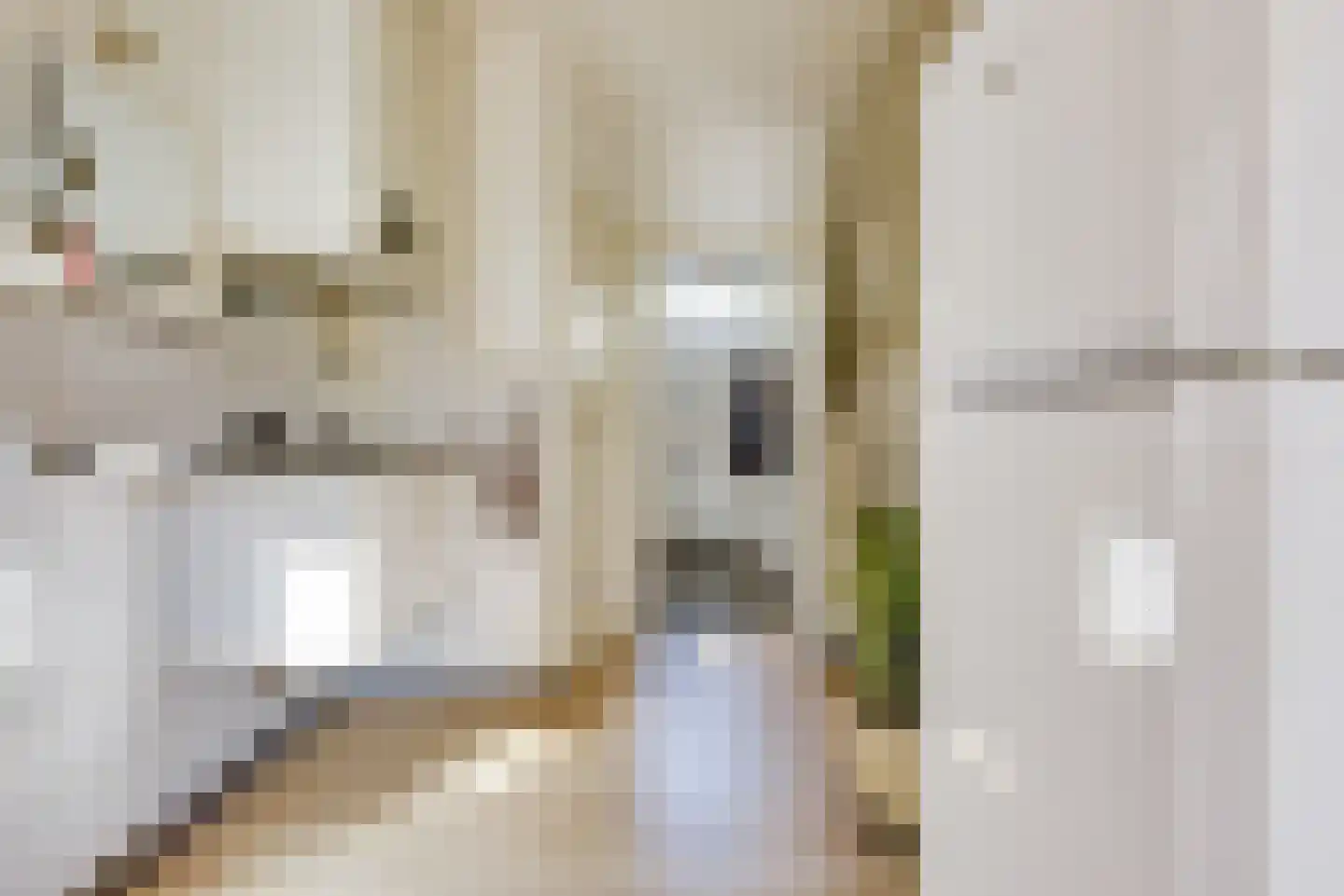 Herlaerstraat 29 Hilvarenbeek thumbnail 10