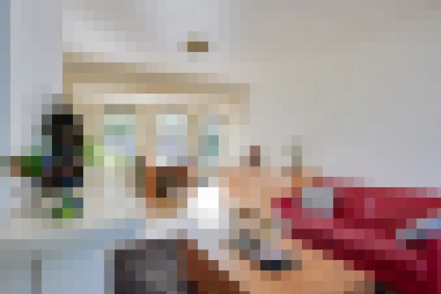 Herlaerstraat 29 Hilvarenbeek thumbnail 12