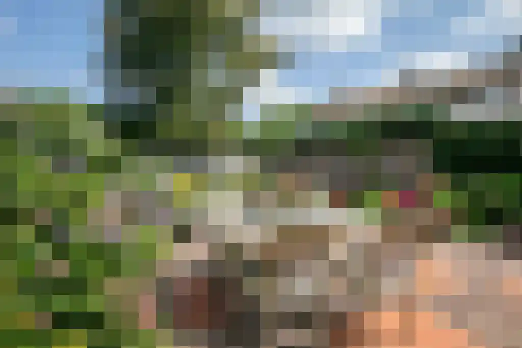 Herlaerstraat 29 Hilvarenbeek thumbnail 31