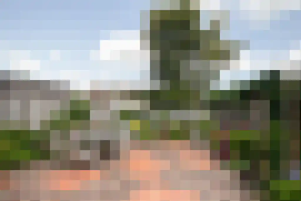 Herlaerstraat 29 Hilvarenbeek thumbnail 32