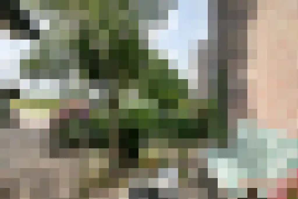 Herlaerstraat 29 Hilvarenbeek thumbnail 35