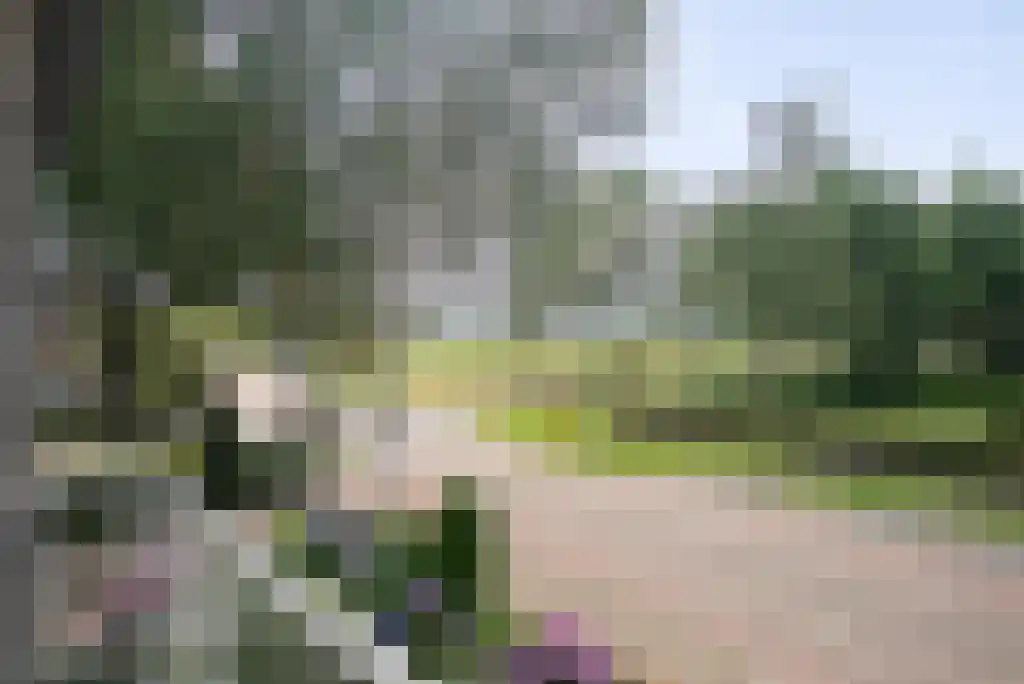 Herlaerstraat 29 Hilvarenbeek thumbnail 36