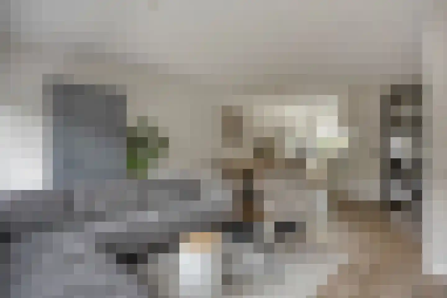 Herlaerstraat 50 Bleiswijk thumbnail 10