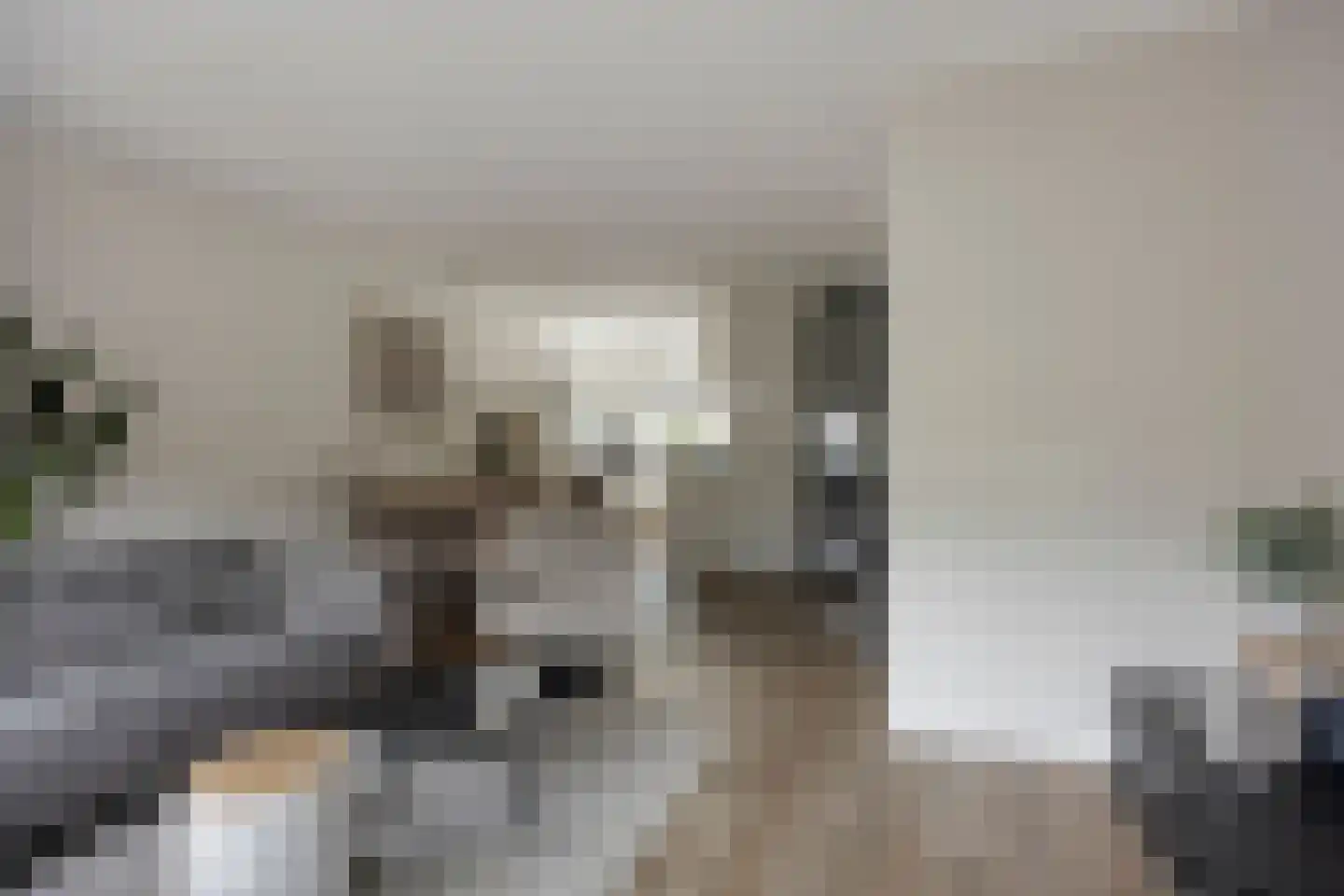 Herlaerstraat 50 Bleiswijk thumbnail 11
