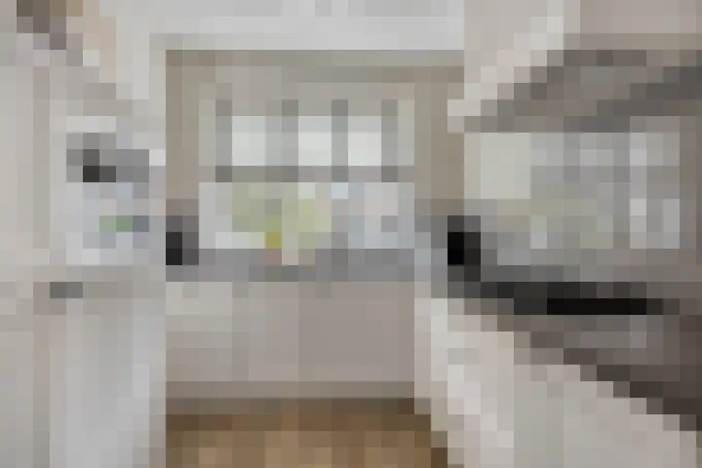 Herlaerstraat 50 Bleiswijk thumbnail 12