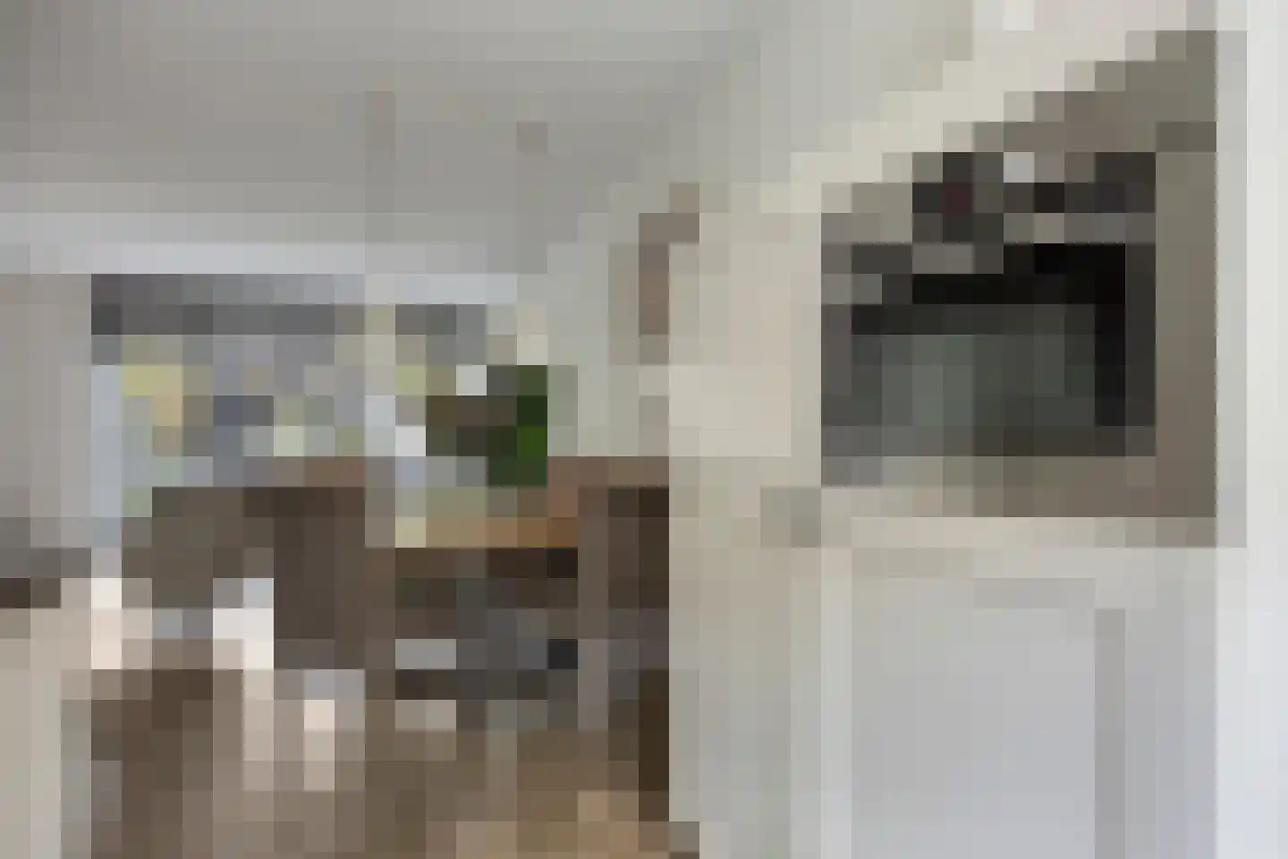 Herlaerstraat 50 Bleiswijk thumbnail 13