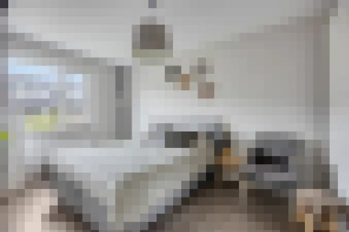 Herlaerstraat 50 Bleiswijk thumbnail 17