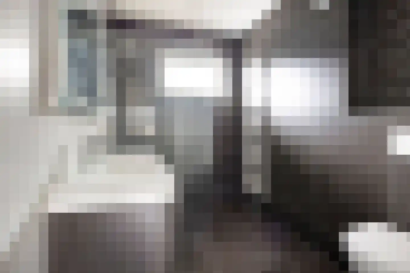 Herlaerstraat 50 Bleiswijk thumbnail 19
