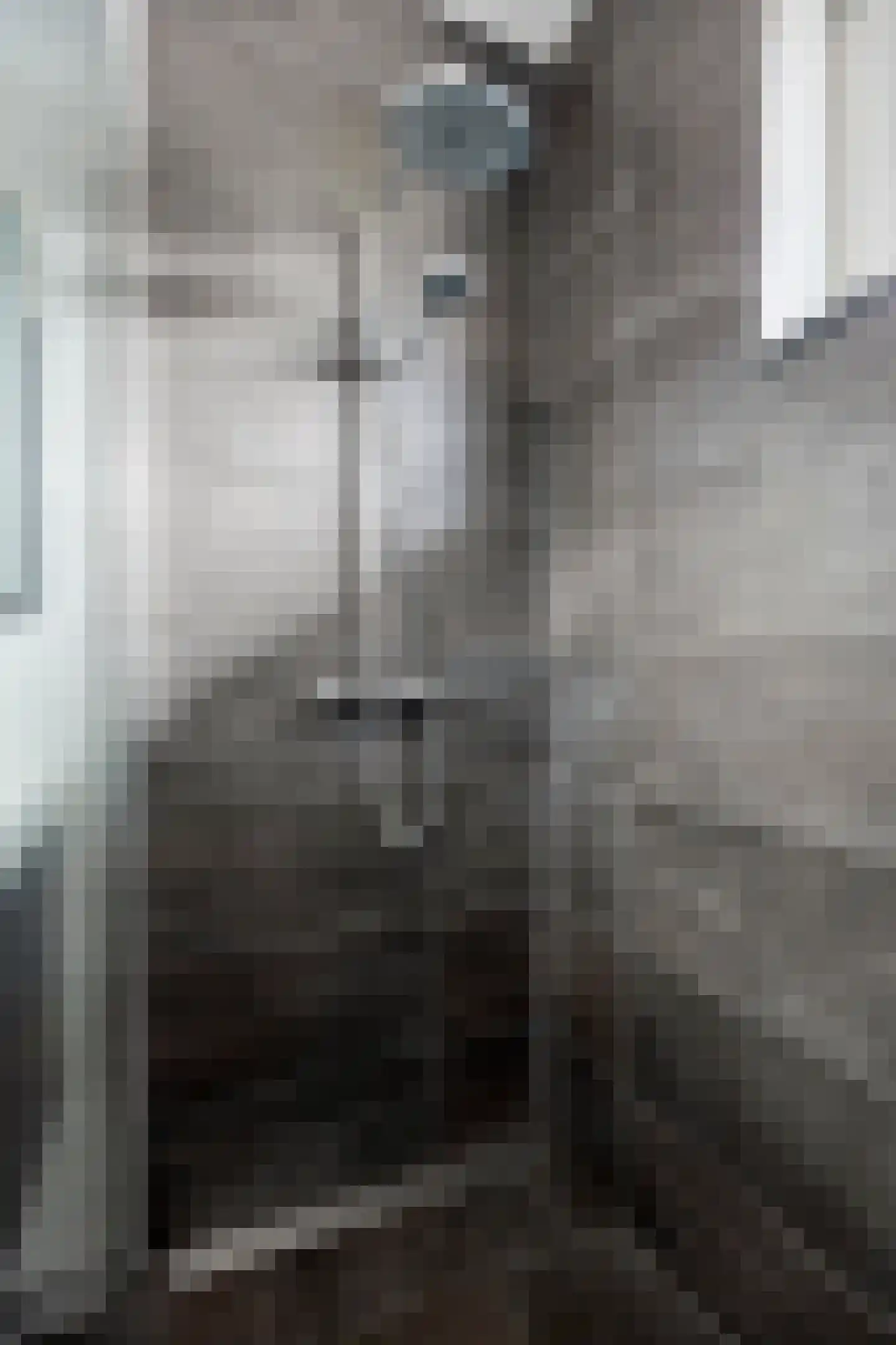 Herlaerstraat 50 Bleiswijk thumbnail 20