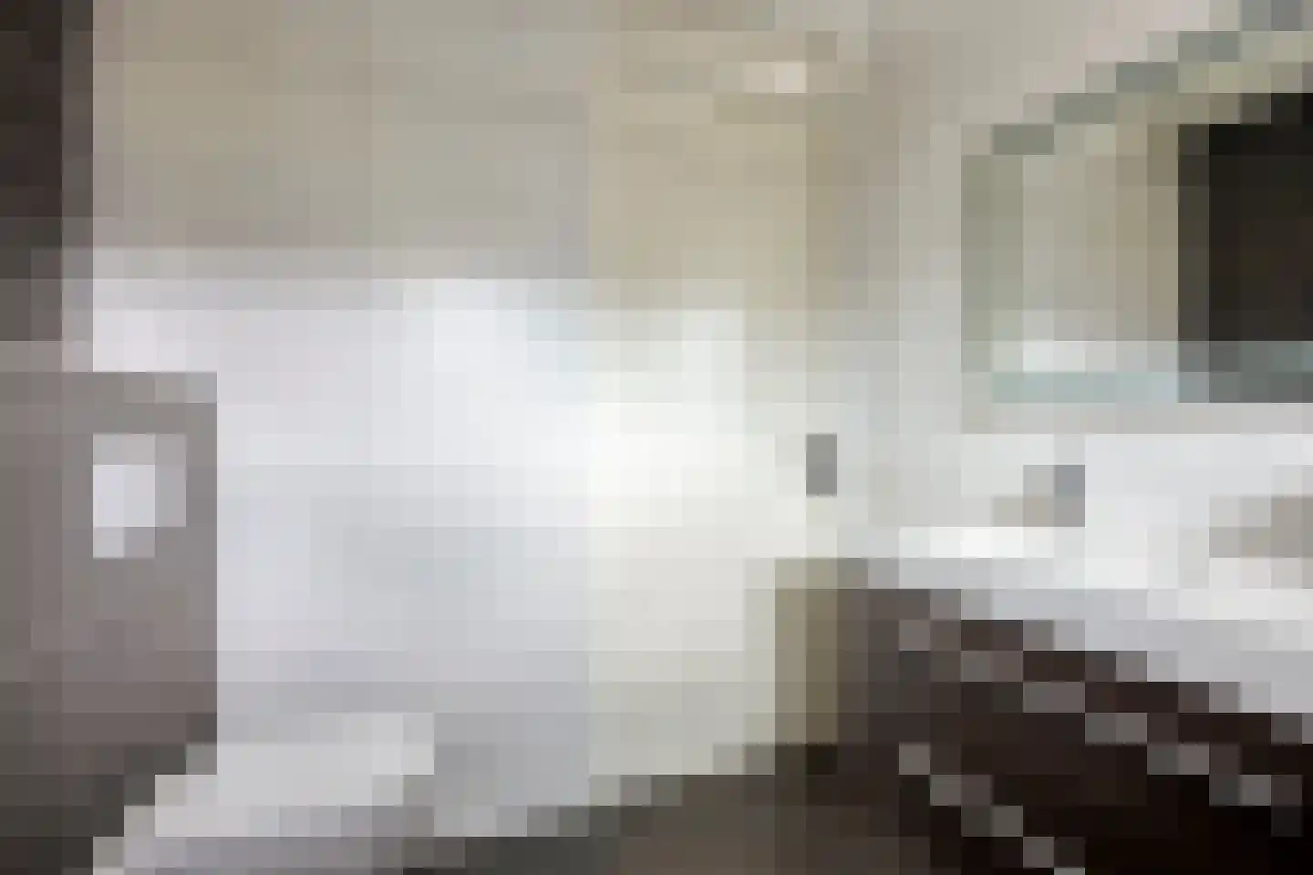 Herlaerstraat 50 Bleiswijk thumbnail 21