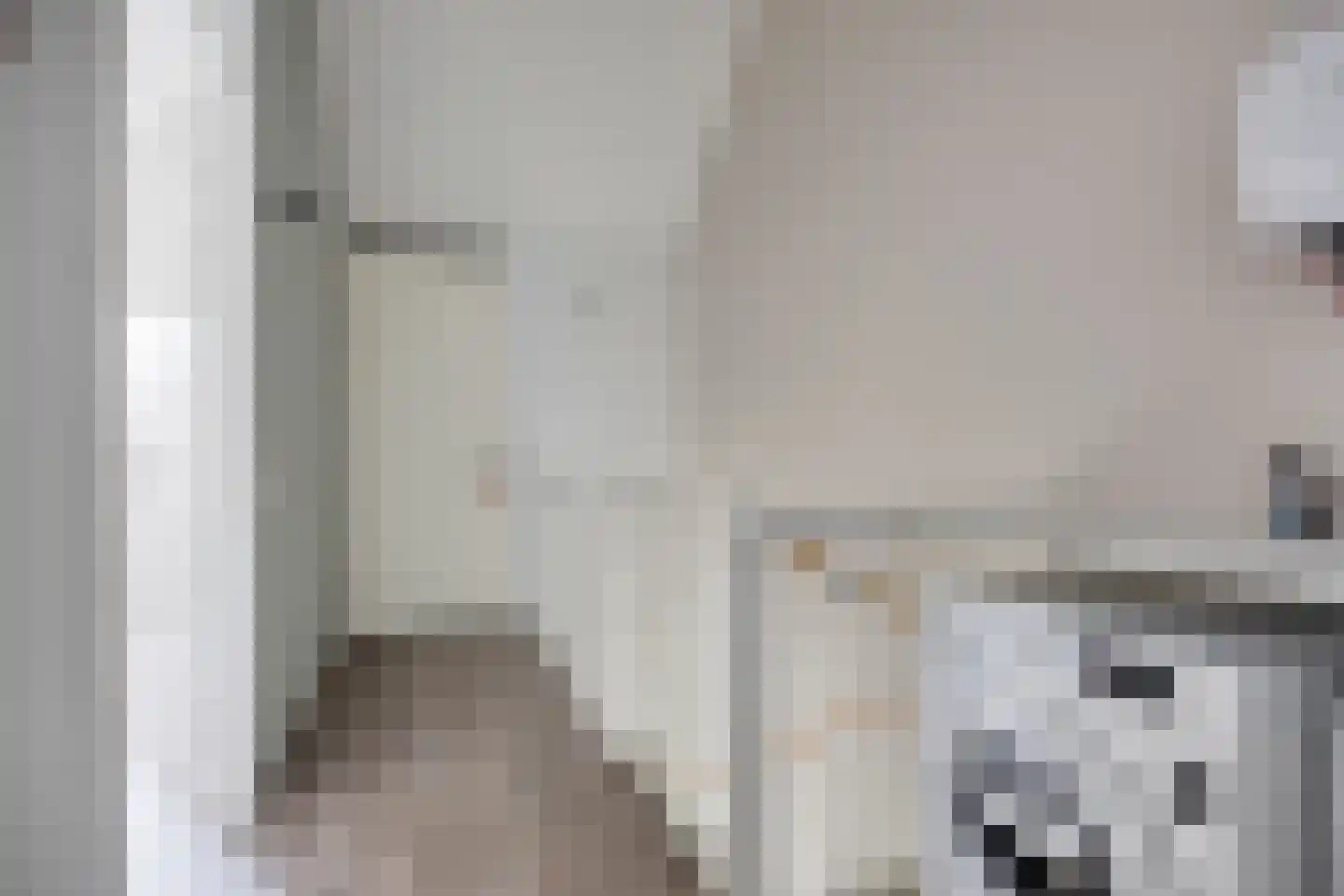 Herlaerstraat 50 Bleiswijk thumbnail 24