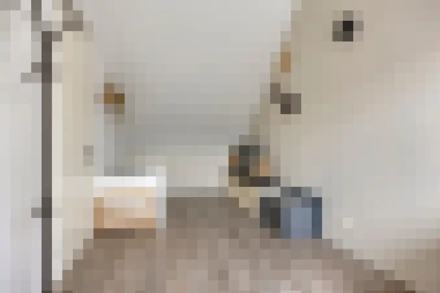 Herlaerstraat 50 Bleiswijk thumbnail 25