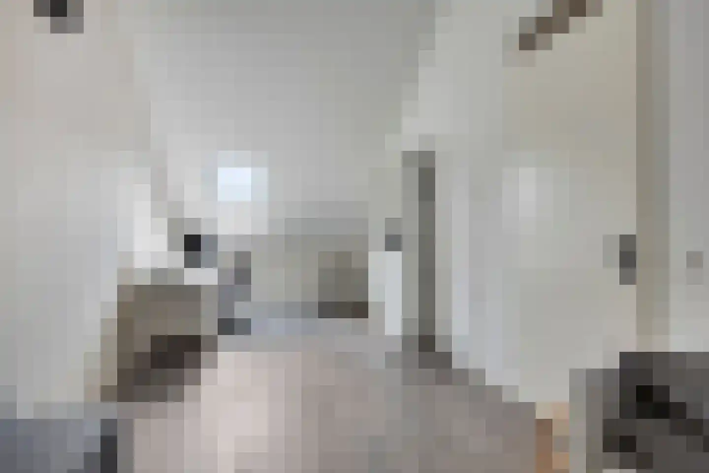 Herlaerstraat 50 Bleiswijk thumbnail 26