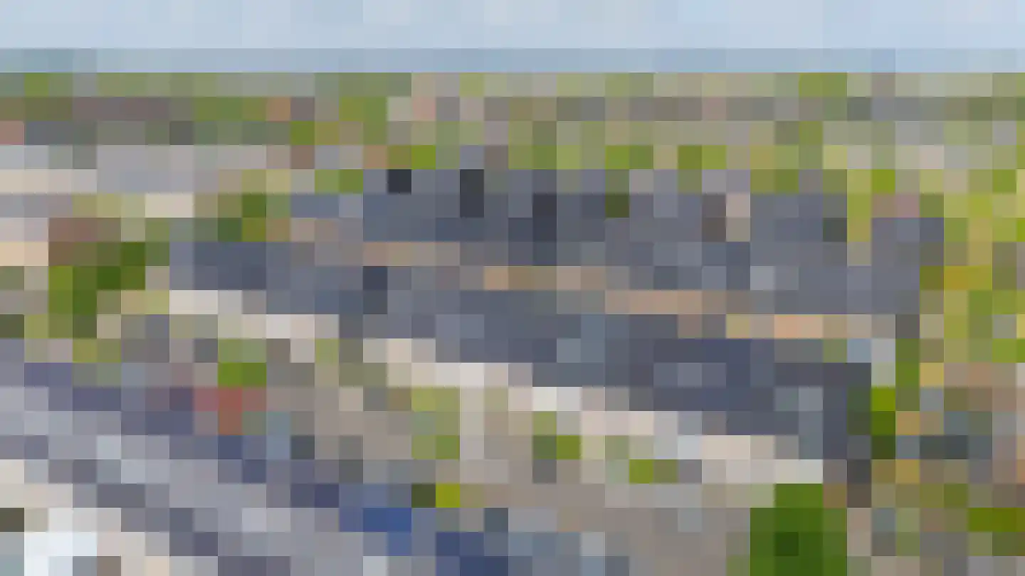 Herlaerstraat 50 Bleiswijk thumbnail 4