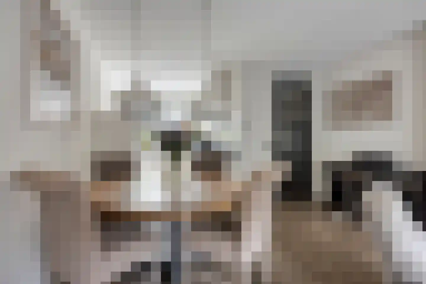 Herlaerstraat 50 Bleiswijk thumbnail 7