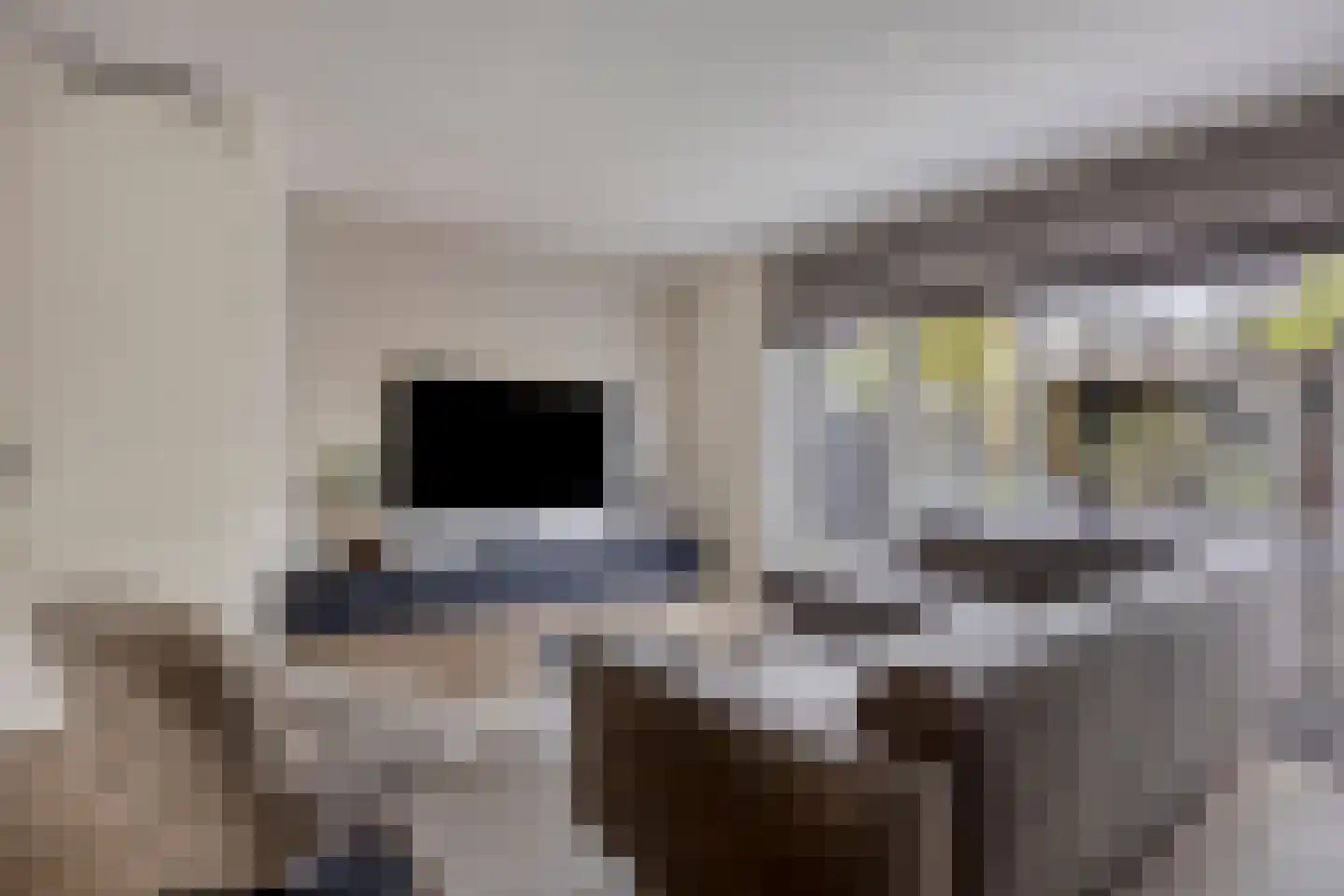 Herlaerstraat 50 Bleiswijk thumbnail 8