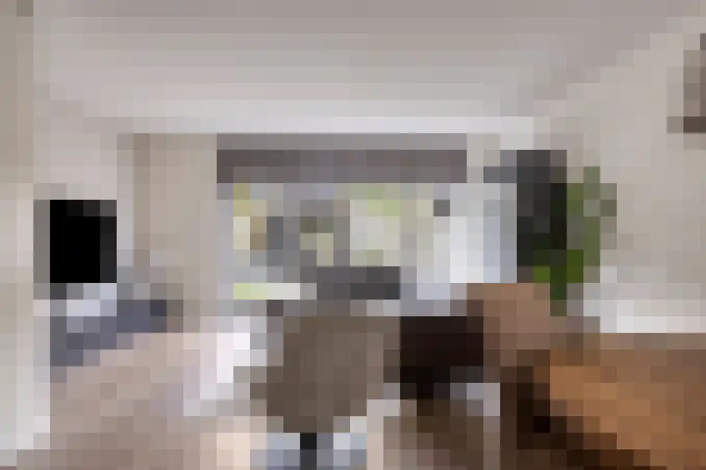Herlaerstraat 50 Bleiswijk thumbnail 9