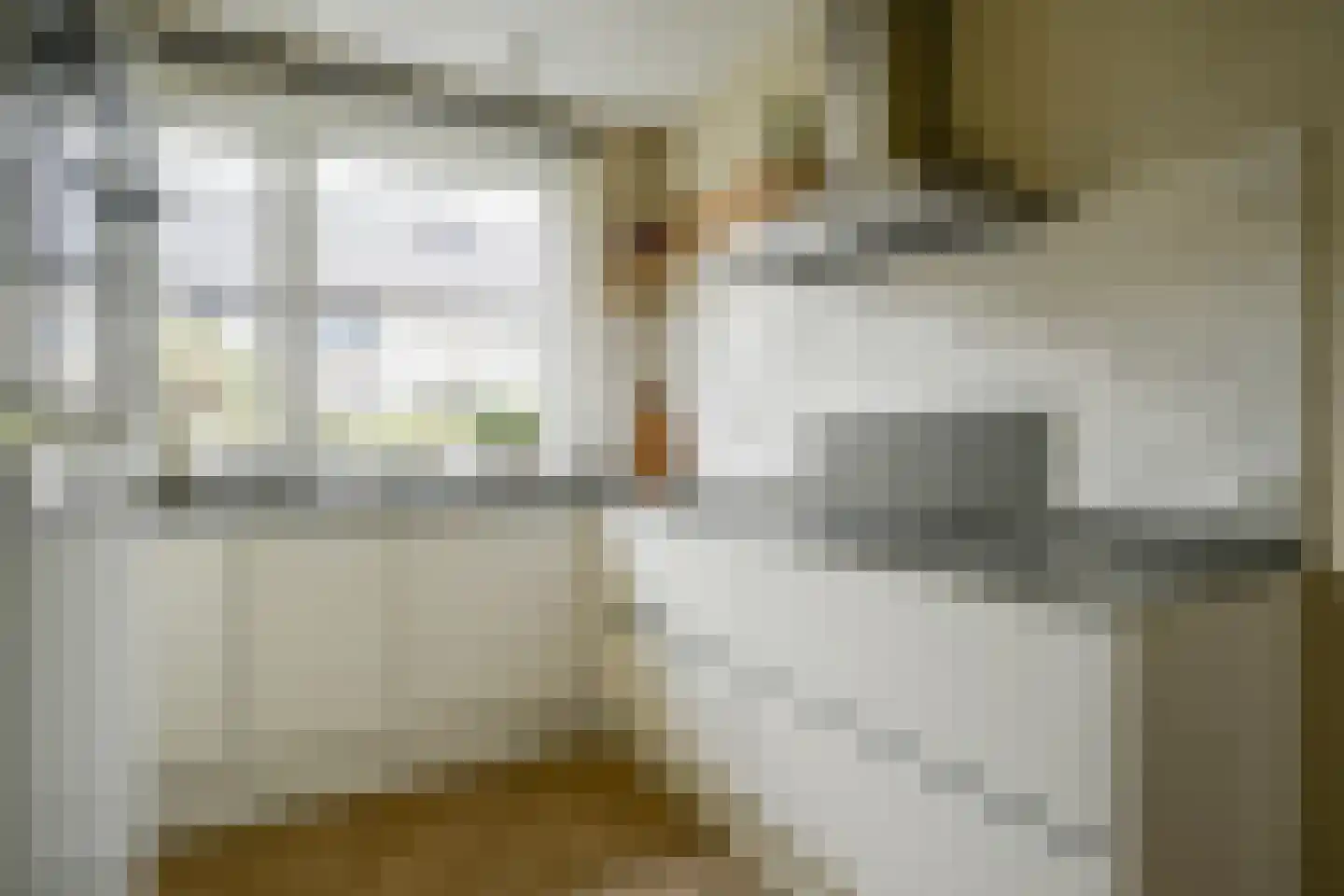 Herlaerstraat 54 Bleiswijk thumbnail 10