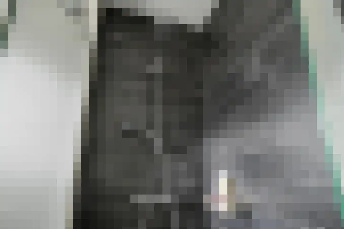 Herlaerstraat 54 Bleiswijk thumbnail 32