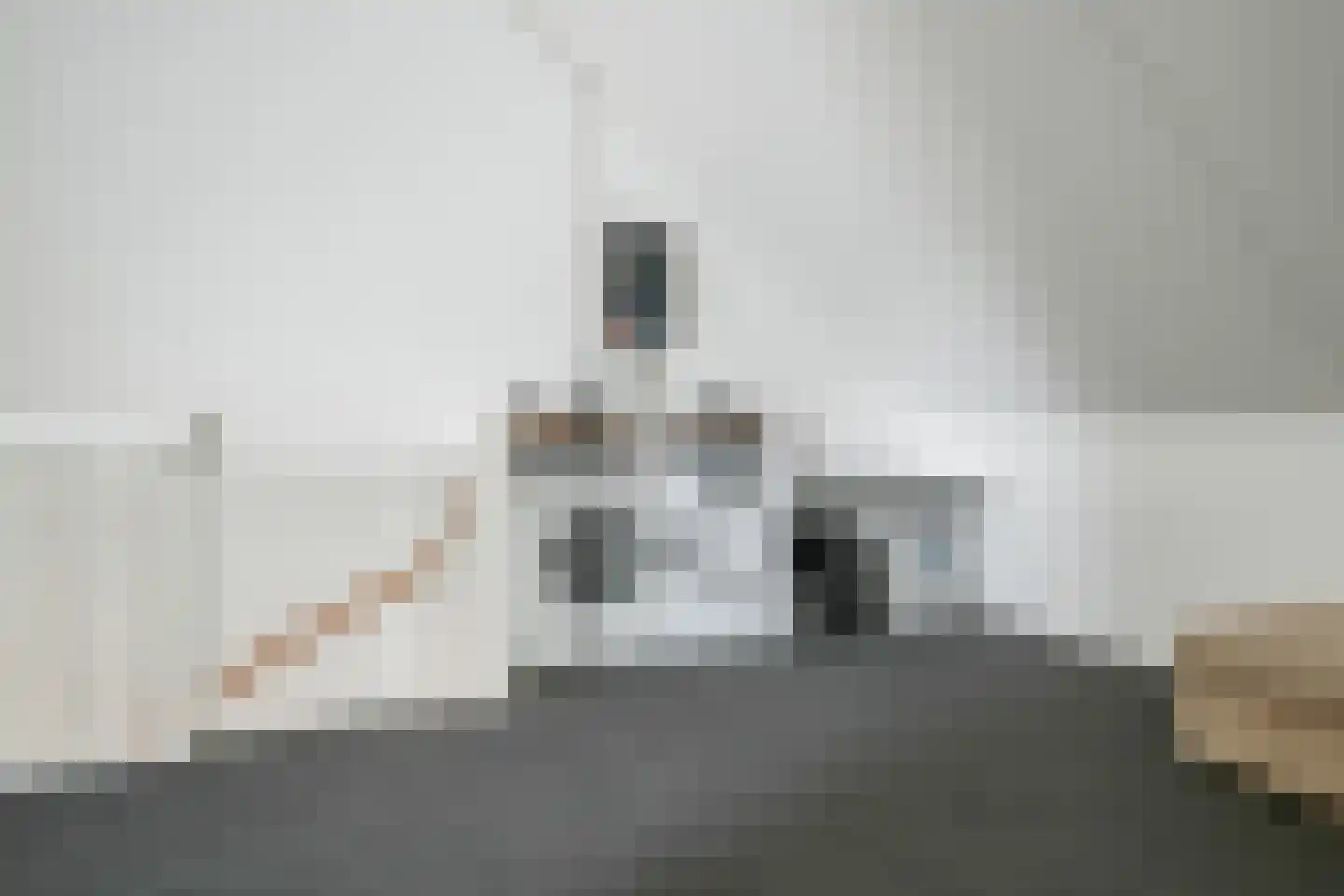 Herlaerstraat 54 Bleiswijk thumbnail 38