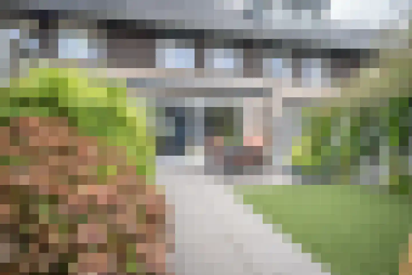 Herlaerstraat 54 Bleiswijk thumbnail 41