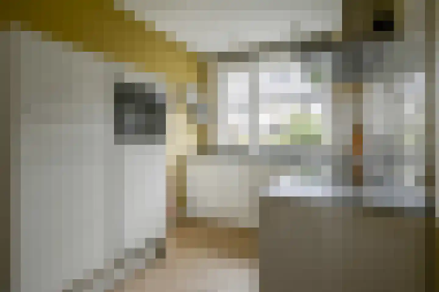 Herlaerstraat 54 Bleiswijk thumbnail 9