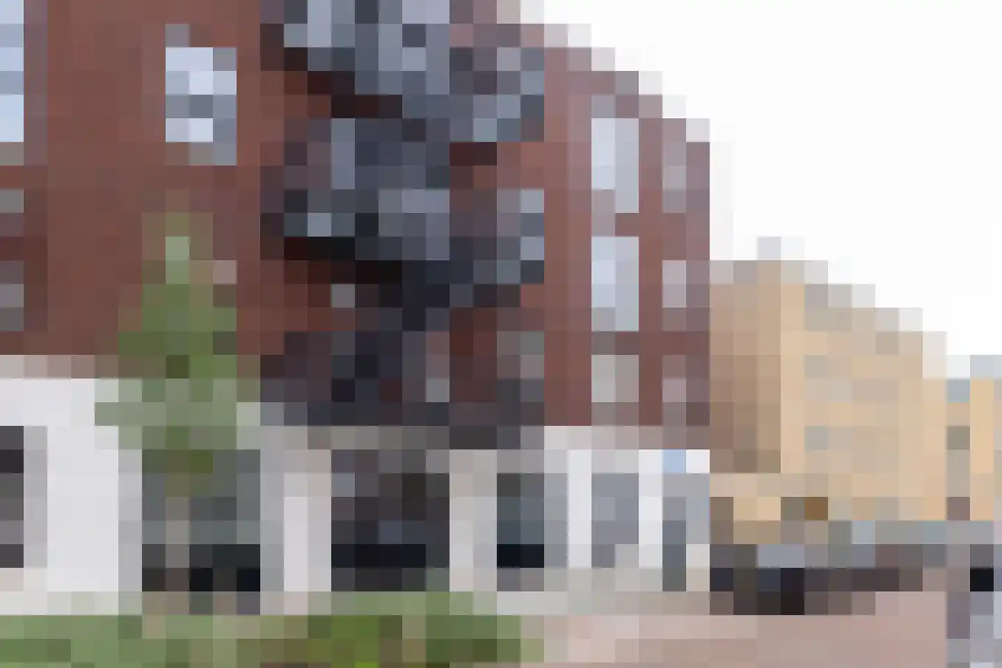 Herlaerstraat 8 B Rotterdam thumbnail 7
