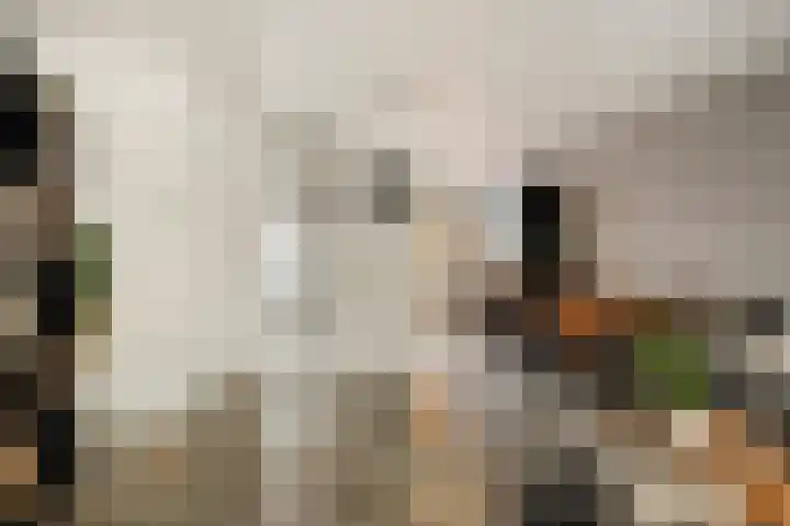 Hermaat 110 Doesburg thumbnail 10