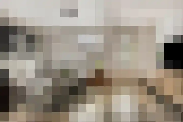 Hermaat 110 Doesburg thumbnail 12
