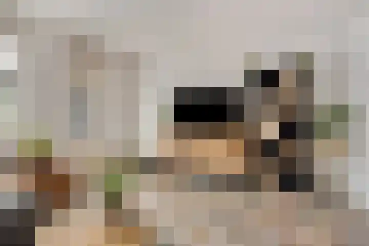 Hermaat 110 Doesburg thumbnail 13