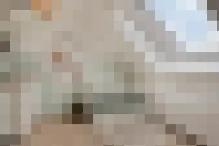Hermaat 110 Doesburg thumbnail 17