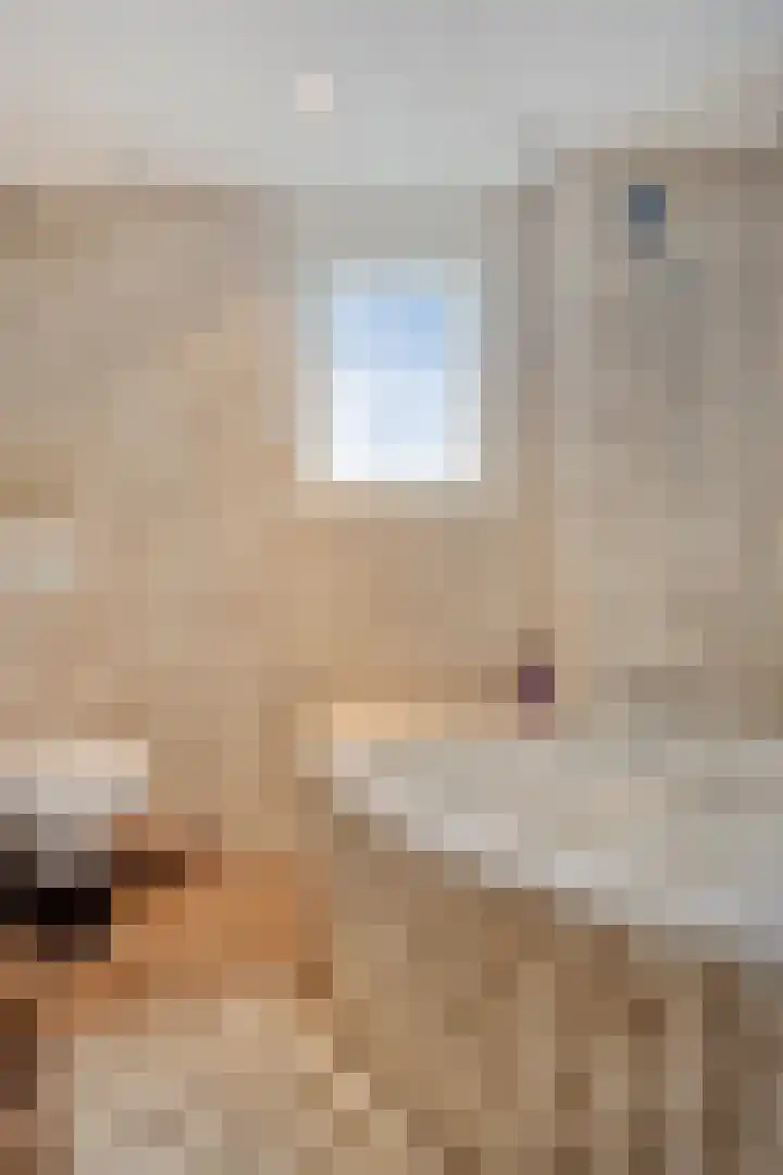 Hermaat 110 Doesburg thumbnail 24