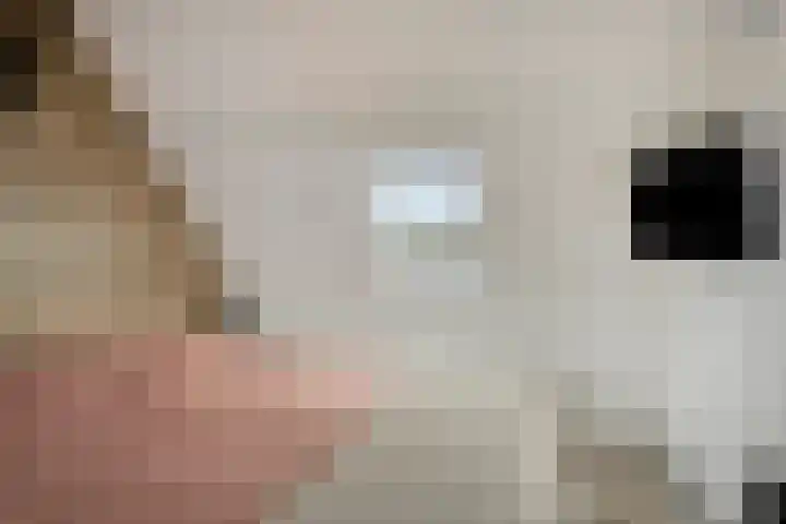 Hermaat 110 Doesburg thumbnail 30