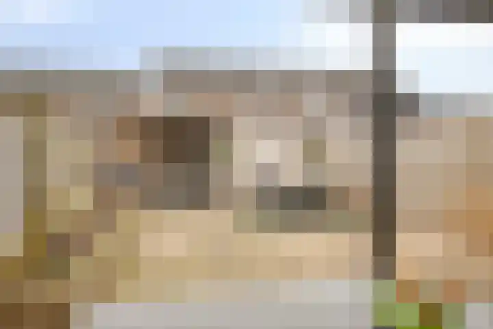Hermaat 110 Doesburg thumbnail 35