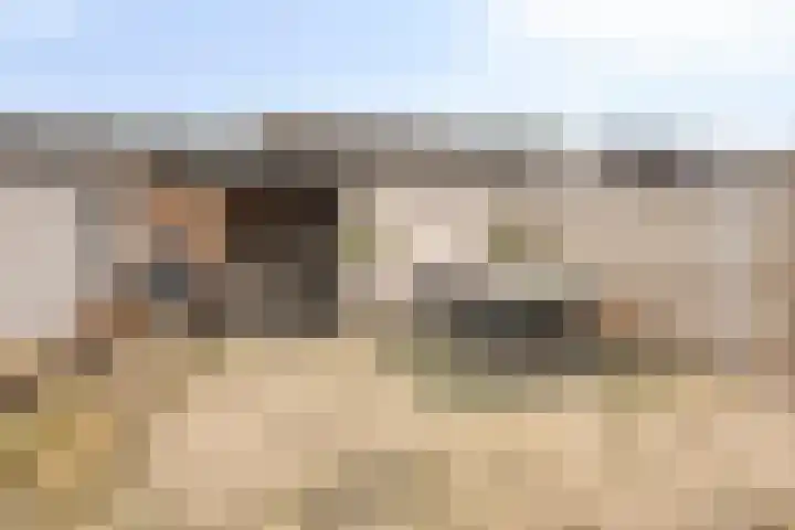 Hermaat 110 Doesburg thumbnail 36
