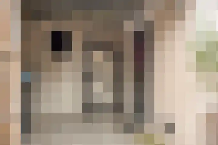 Hermaat 110 Doesburg thumbnail 37