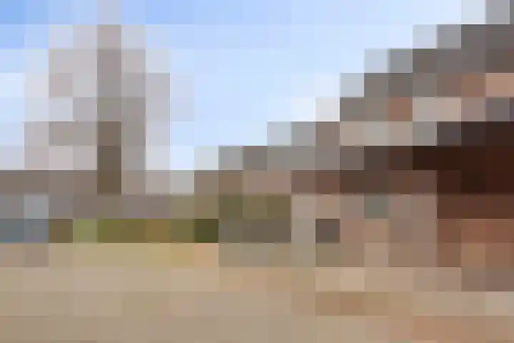 Hermaat 110 Doesburg thumbnail 40