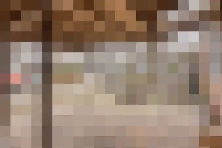 Hermaat 110 Doesburg thumbnail 41