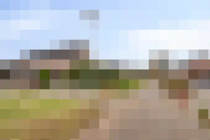 Hermaat 110 Doesburg thumbnail 42