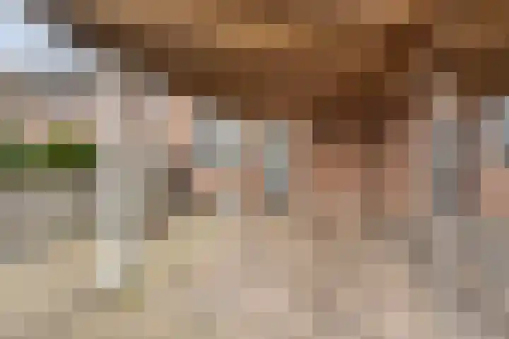 Hermaat 110 Doesburg thumbnail 7