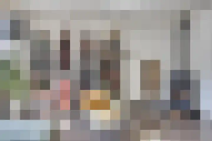 Hermaat 114 Doesburg thumbnail 15