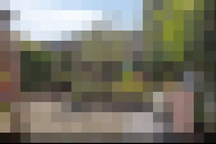 Hermaat 114 Doesburg thumbnail 44