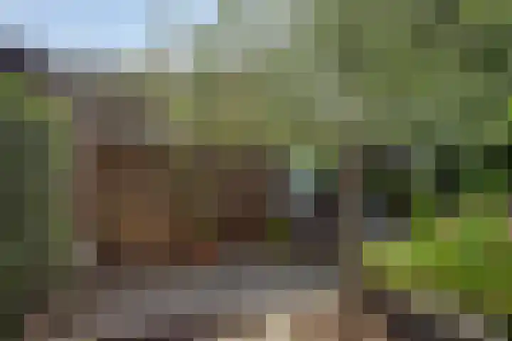 Hermaat 114 Doesburg thumbnail 45